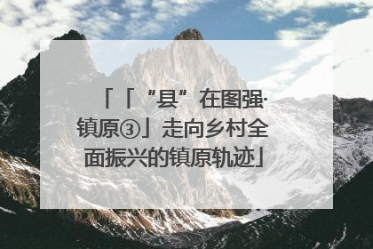 「“县”在图强·镇原③」走向乡村全面振兴的镇原轨迹