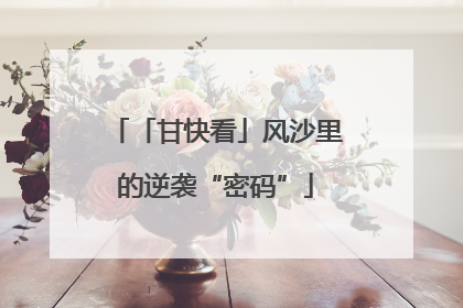 「甘快看」风沙里的逆袭“密码”