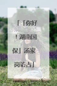 「你好！湖南国保」汤家岗访古