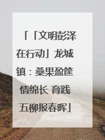 「文明彭泽在行动」龙城镇：桑果盈筐情绵长 育践五柳报春晖
