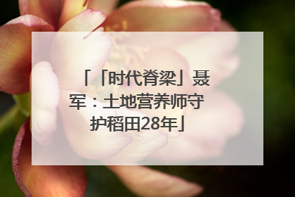 「时代脊梁」聂军：土地营养师守护稻田28年