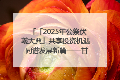 「2025年公祭伏羲大典」共享投资机遇 同谱发展新篇——甘肃省文旅产业链招商引资推介会侧记