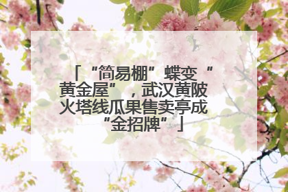 “简易棚”蝶变“黄金屋”，武汉黄陂火塔线瓜果售卖亭成“金招牌”