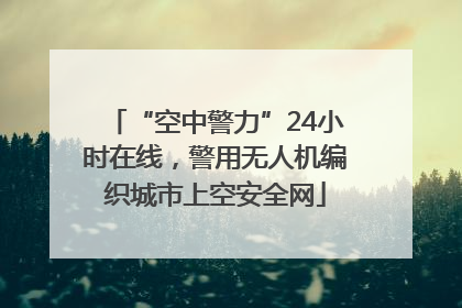 “空中警力”24小时在线，警用无人机编织城市上空安全网