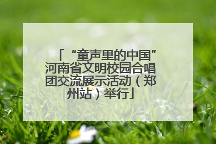 “童声里的中国”河南省文明校园合唱团交流展示活动（郑州站）举行