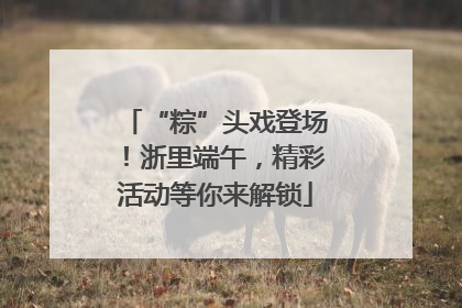 “粽”头戏登场！浙里端午，精彩活动等你来解锁
