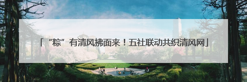 “粽”有清风拂面来！五社联动共织清风网