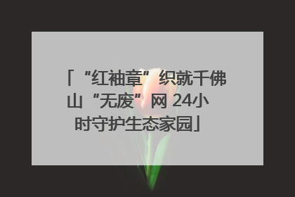 “红袖章”织就千佛山“无废”网 24小时守护生态家园