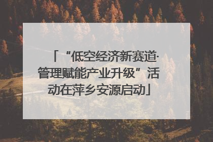“低空经济新赛道·管理赋能产业升级”活动在萍乡安源启动