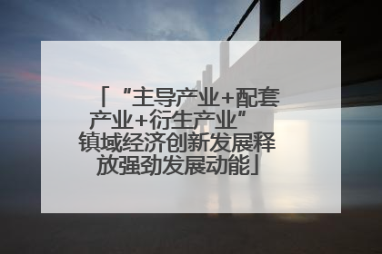 “主导产业+配套产业+衍生产业” 镇域经济创新发展释放强劲发展动能