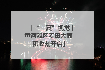 “三夏”视觉｜黄河滩区麦田大面积收割开启