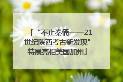 “不止秦俑——21世纪陕西考古新发现”特展亮相美国加州