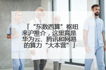 “东数西算”枢纽来沪推介，这里竟是华为云、腾讯和网易的算力“大本营”