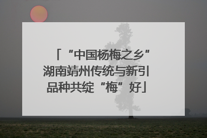 “中国杨梅之乡”湖南靖州传统与新引品种共绽“梅”好