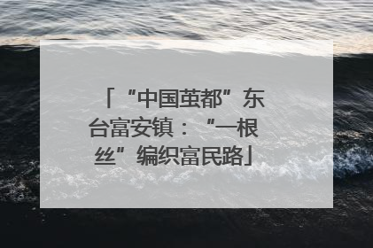 “中国茧都”东台富安镇：“一根丝”编织富民路
