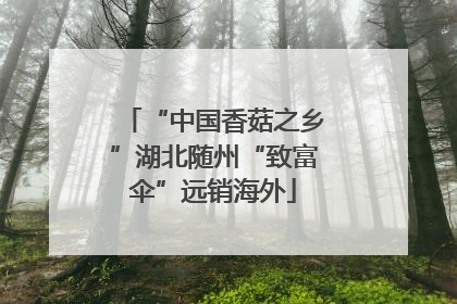 “中国香菇之乡”湖北随州“致富伞”远销海外