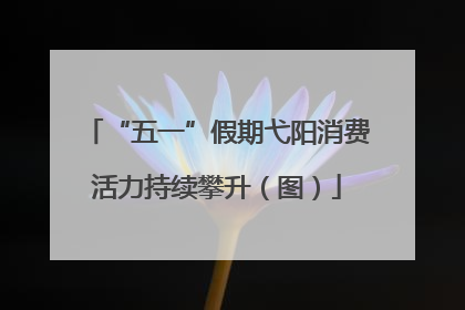 “五一”假期弋阳消费活力持续攀升（图）