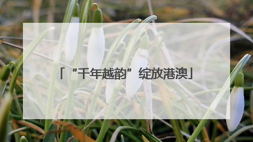 “千年越韵”绽放港澳