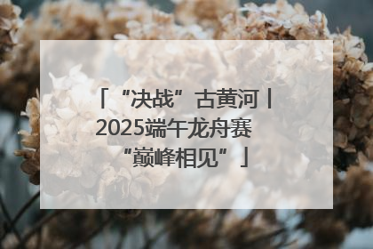 “决战”古黄河丨2025端午龙舟赛“巅峰相见”