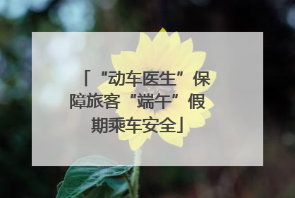 “动车医生”保障旅客“端午”假期乘车安全