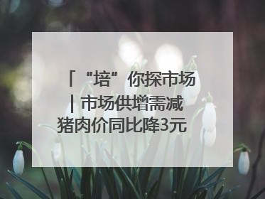 “培”你探市场｜市场供增需减 猪肉价同比降3元 未来40天便宜猪肉敞开吃
