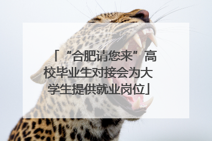 “合肥请您来”高校毕业生对接会为大学生提供就业岗位