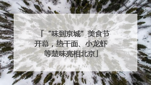 “味到京城”美食节开幕，热干面、小龙虾等楚味亮相北京