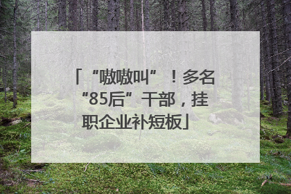 “嗷嗷叫”！多名“85后”干部，挂职企业补短板