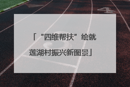“四维帮扶”绘就莲湖村振兴新图景