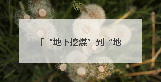 “地下挖煤”到“地上种艾”，肥城这个村艾草产业收入破千万