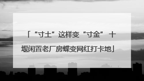 “寸土”这样变“寸金” 十堰闲置老厂房蝶变网红打卡地