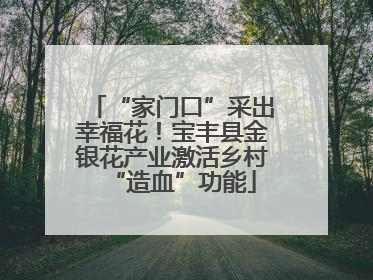 “家门口”采出幸福花！宝丰县金银花产业激活乡村“造血”功能
