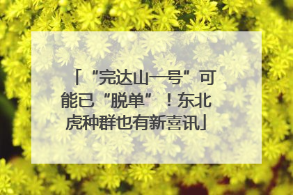 “完达山一号”可能已“脱单”！东北虎种群也有新喜讯