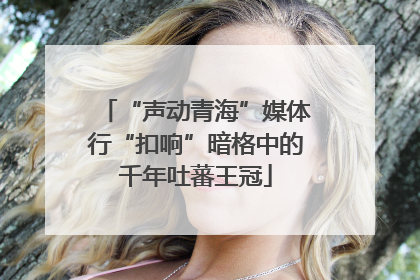 “声动青海”媒体行“扣响”暗格中的千年吐蕃王冠