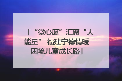“微心愿”汇聚“大能量” 福建宁德情暖困境儿童成长路