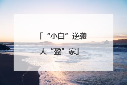 “小白”逆袭大“盈”家