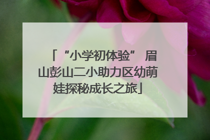 “小学初体验” 眉山彭山二小助力区幼萌娃探秘成长之旅