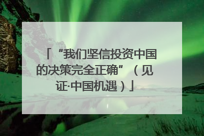 “我们坚信投资中国的决策完全正确”（见证·中国机遇）