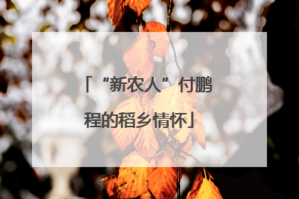 “新农人”付鹏程的稻乡情怀