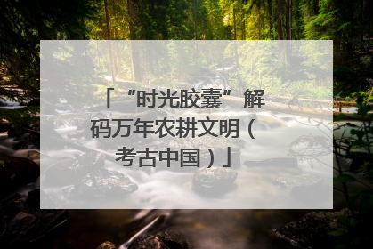 “时光胶囊”解码万年农耕文明（考古中国）