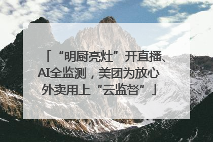 “明厨亮灶”开直播、AI全监测，美团为放心外卖用上“云监督”