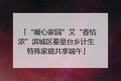 “暖心家园”艾“香情浓”滨城区秦皇台乡计生特殊家庭共享端午