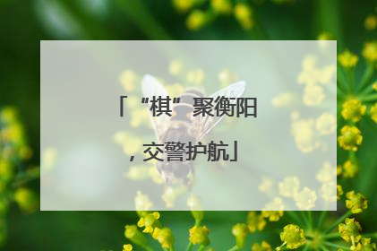 “棋”聚衡阳，交警护航