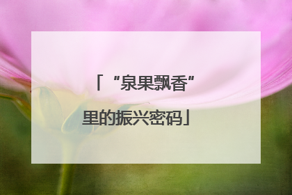 “泉果飘香”里的振兴密码