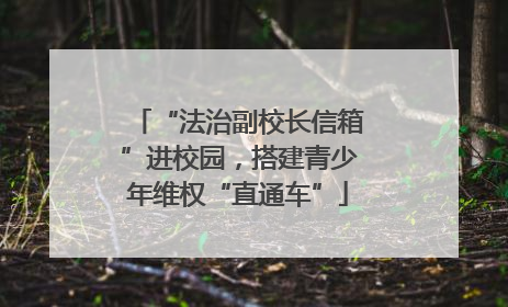 “法治副校长信箱”进校园，搭建青少年维权“直通车”