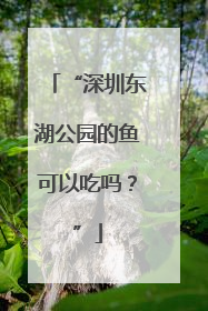 “深圳东湖公园的鱼可以吃吗？”