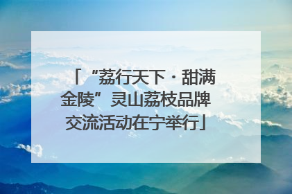 “荔行天下・甜满金陵”灵山荔枝品牌交流活动在宁举行