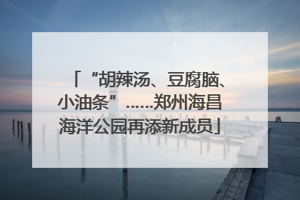 “胡辣汤、豆腐脑、小油条”……郑州海昌海洋公园再添新成员