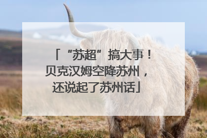 “苏超”搞大事！贝克汉姆空降苏州，还说起了苏州话