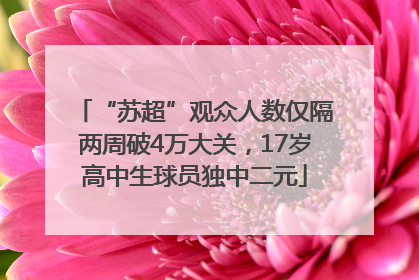“苏超”观众人数仅隔两周破4万大关，17岁高中生球员独中二元